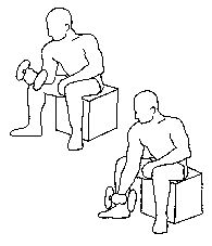 Exercise 12 Image