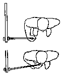 Exercise 16d Image
