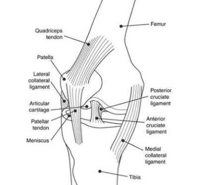wiringdiagramkawasakikfx450ratvcolorfulwires1jpg 1729 kb wiring skymultiroomwiringdiagramskymultiroomwiringdiagram188x188png frostbite diagram nata wiring diagram libraries energyknee injuries can range from mild to