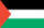 Palestine Flag