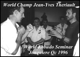 jytseminar1996.gif