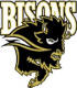 Bison Women's Volleyball Club