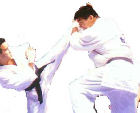 Kyokushin