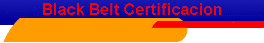 Black Belt Certification