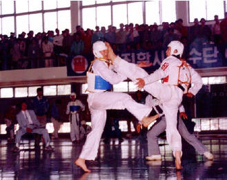 Tae Kwon Do